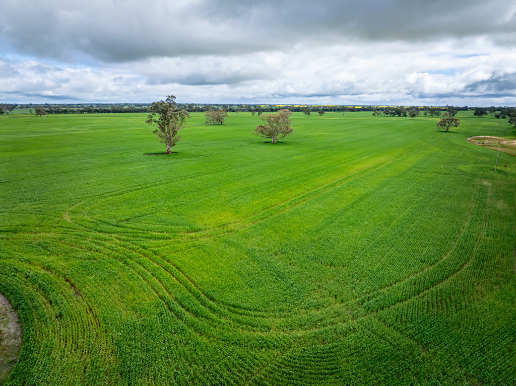210 Cumings Road, Peronne VIC 3413