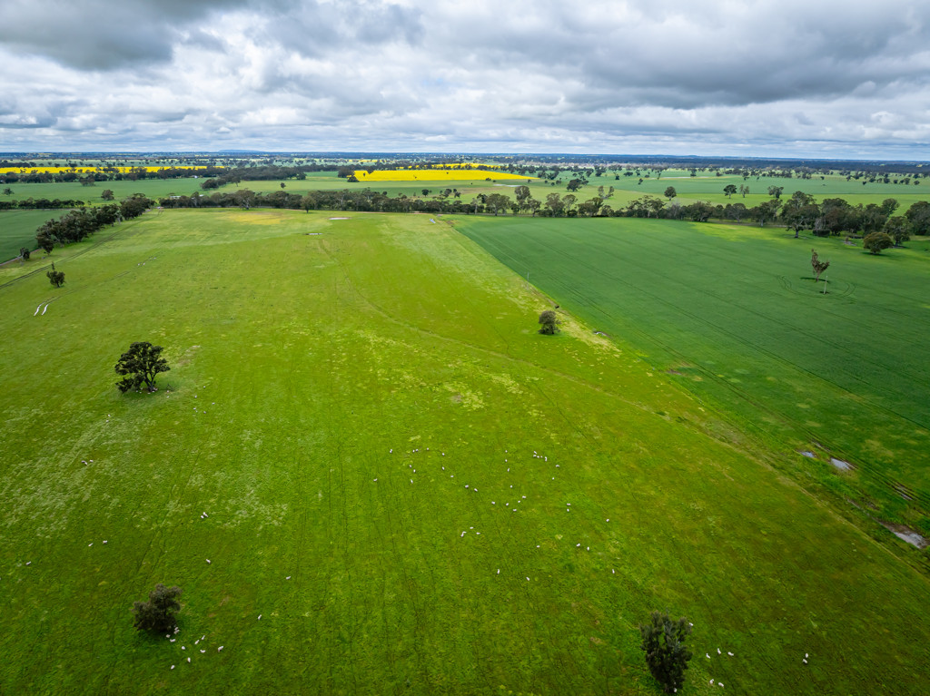 210 Cumings Road, Peronne VIC 3413