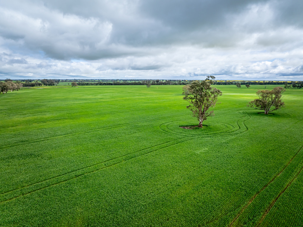 210 Cumings Road, Peronne VIC 3413