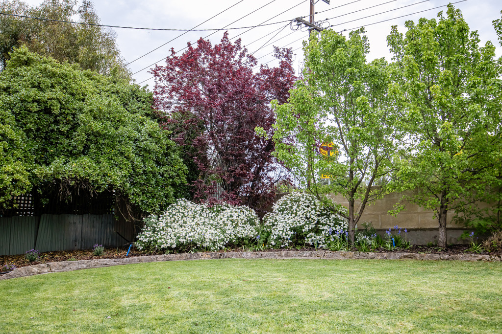 20 MacDonnell Street, Naracoorte SA 5271