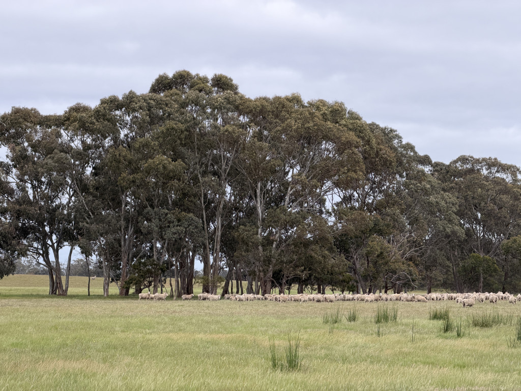 A Watkins Road, Karnak VIC 3401