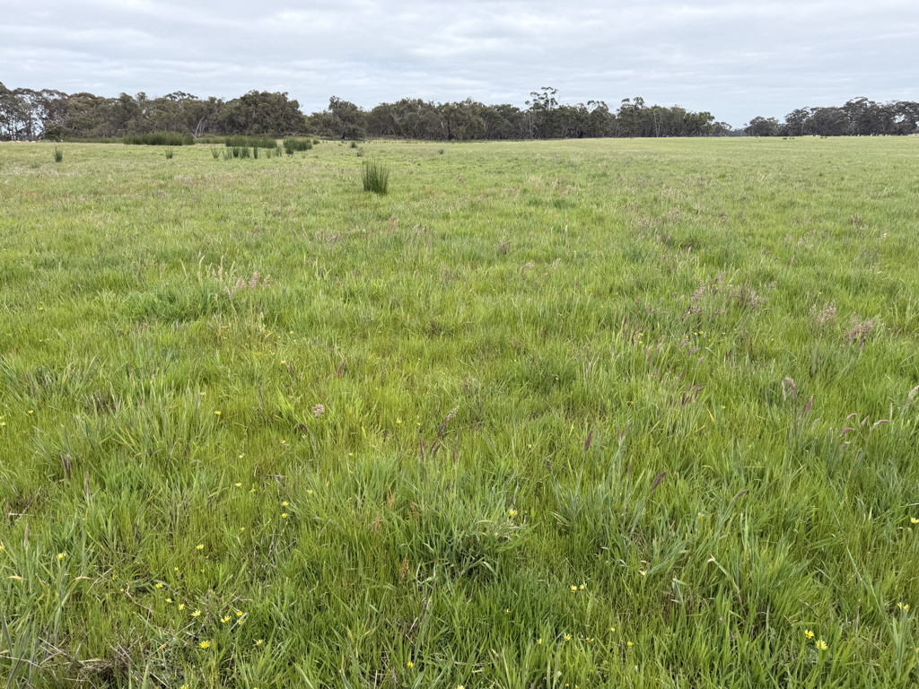 A Watkins Road, Karnak VIC 3401