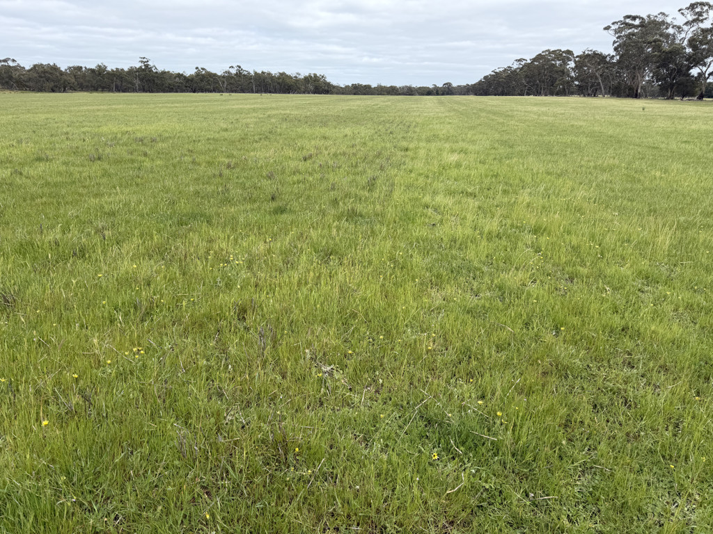 A Watkins Road, Karnak VIC 3401