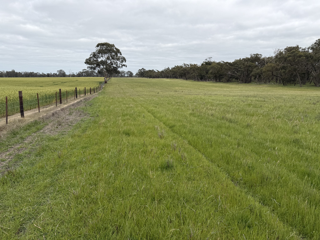 A Watkins Road, Karnak VIC 3401