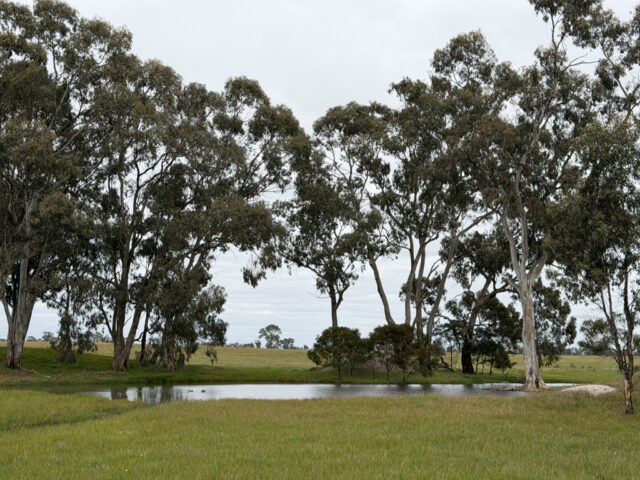 A Watkins Road, Karnak VIC 3401