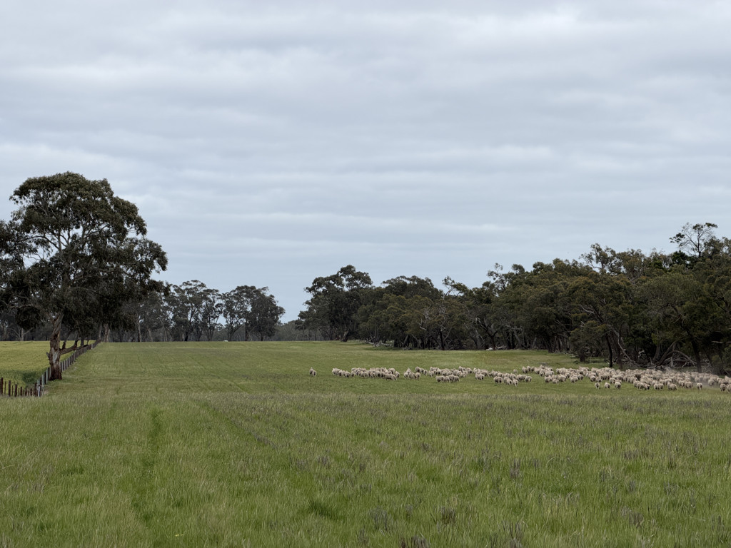 A Watkins Road, Karnak VIC 3401