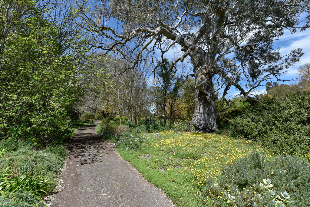 154/170 Rocky Castle Road, Coonawarra SA 5263