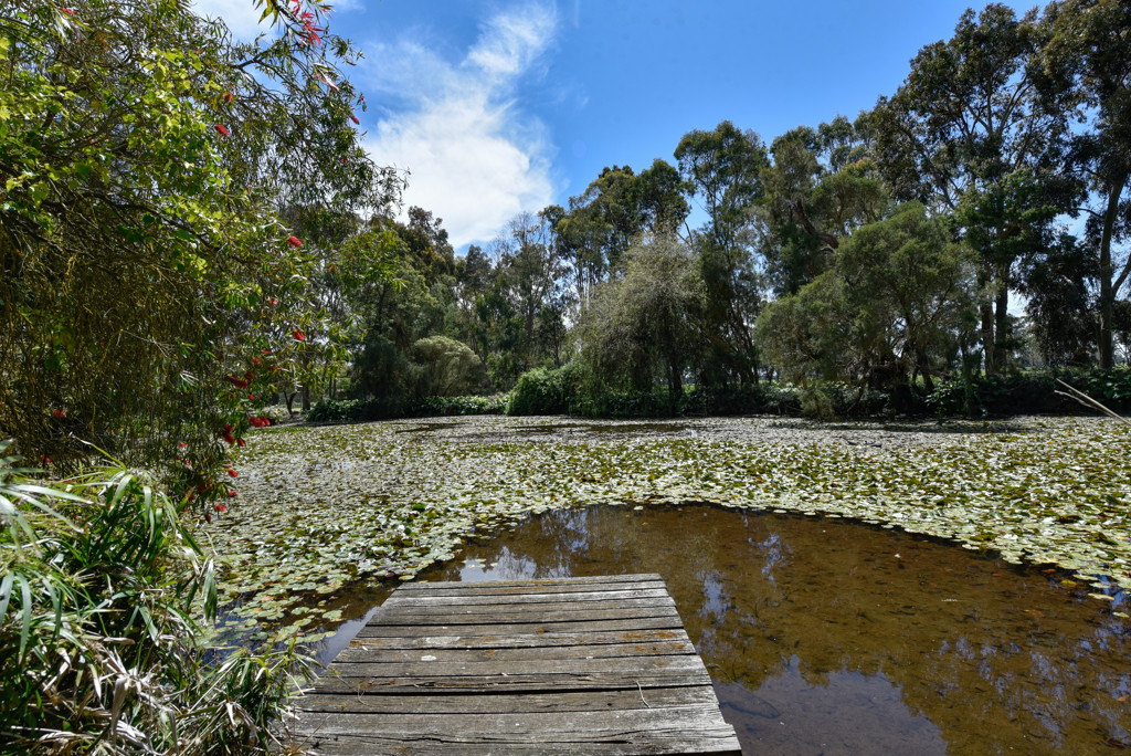 154/170 Rocky Castle Road, Coonawarra SA 5263